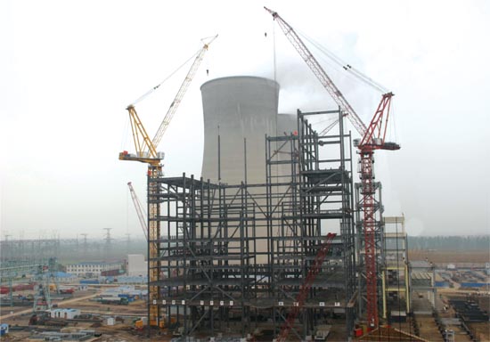 Luffing Crane Rental